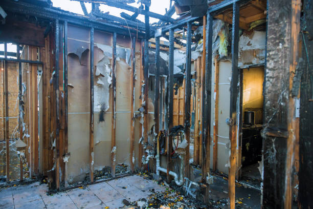 Professional Odor Removal technician working in Leland, NC